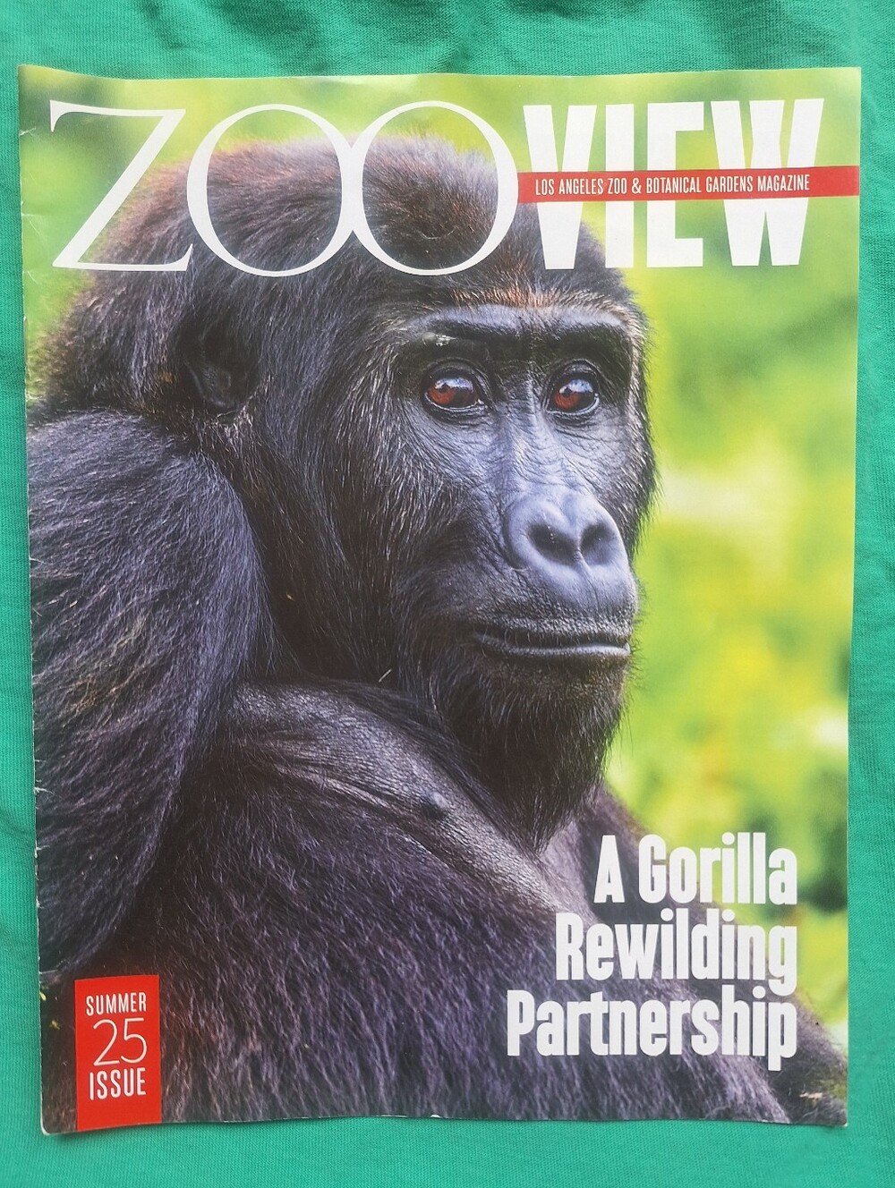Los Angeles Zoo "Zoo View" Magazine – Summer 2025 Issue